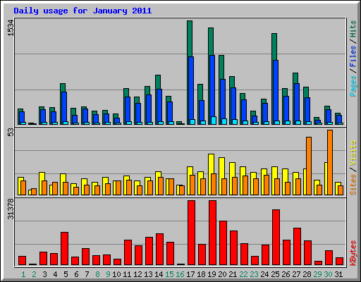 Daily usage for January 2011