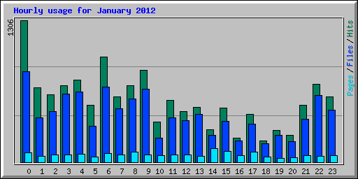 Hourly usage for January 2012
